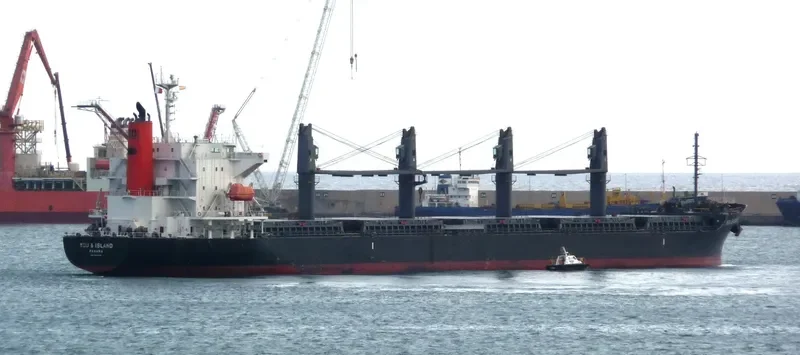 YOU&ISLAND Bulk Carrier IMO 9605085 photo 10