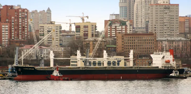 PACIFIC CYPRESS Bulk Carrier IMO 9605097 photo 2