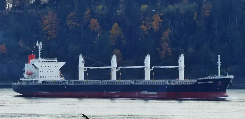 PACIFIC CYPRESS Bulk Carrier IMO 9605097 photo 8
