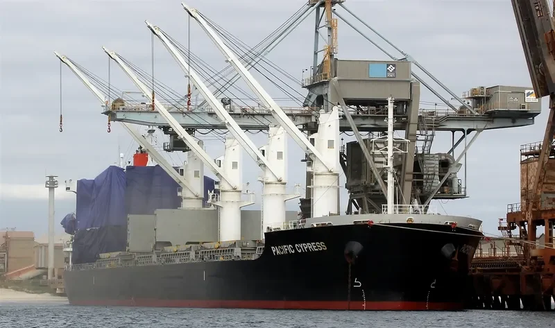 PACIFIC CYPRESS Bulk Carrier IMO 9605097 photo 9