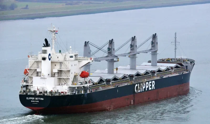 AGIA FILOTHEI Bulk Carrier IMO 9605102 photo 7