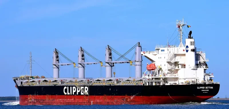 AGIA FILOTHEI Bulk Carrier IMO 9605102 photo 9