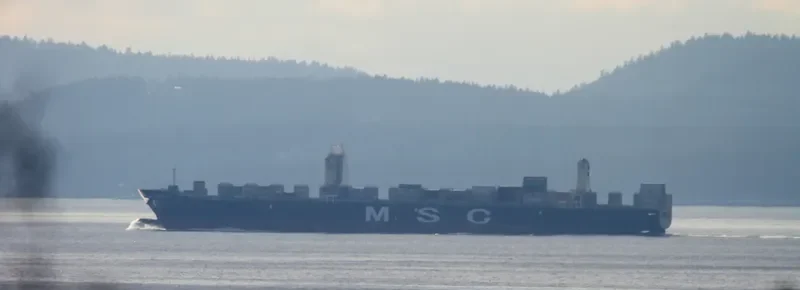 JOHANNA SCHULTE Container Ship IMO 9605231 photo 8