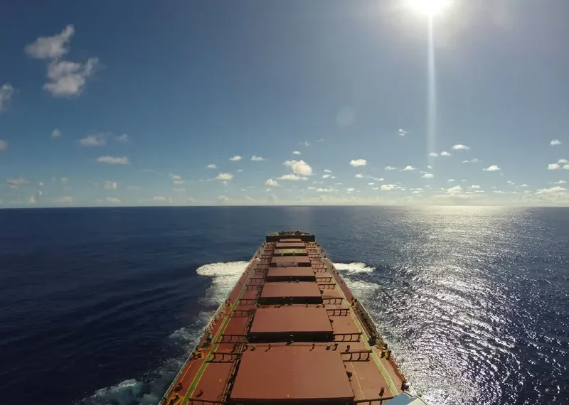 FLAG THENIA Bulk Carrier IMO 9605487 photo 3