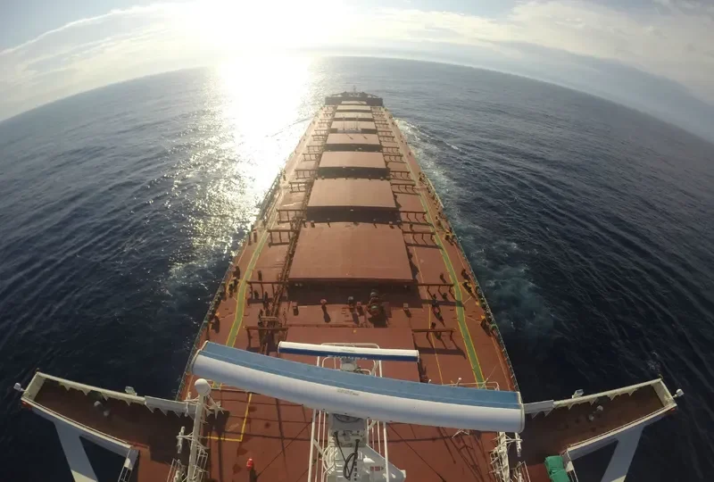 FLAG THENIA Bulk Carrier IMO 9605487 photo 4