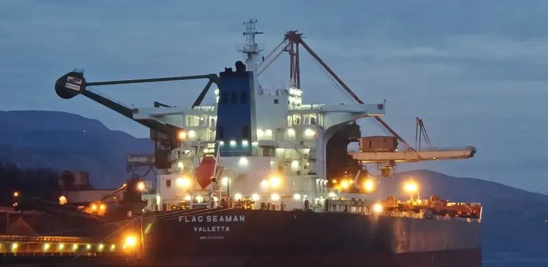 FLAG SEAMAN Bulk Carrier IMO 9605499 photo 2