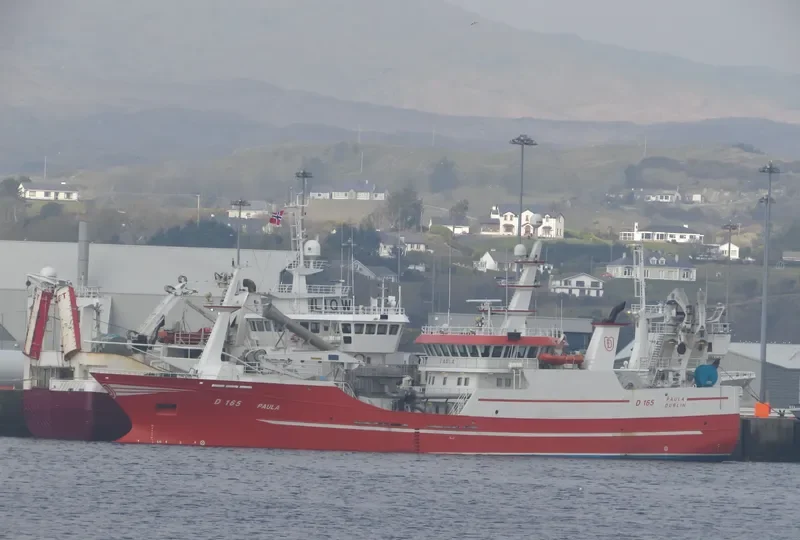 PAULA General Cargo IMO 9605516 photo 5