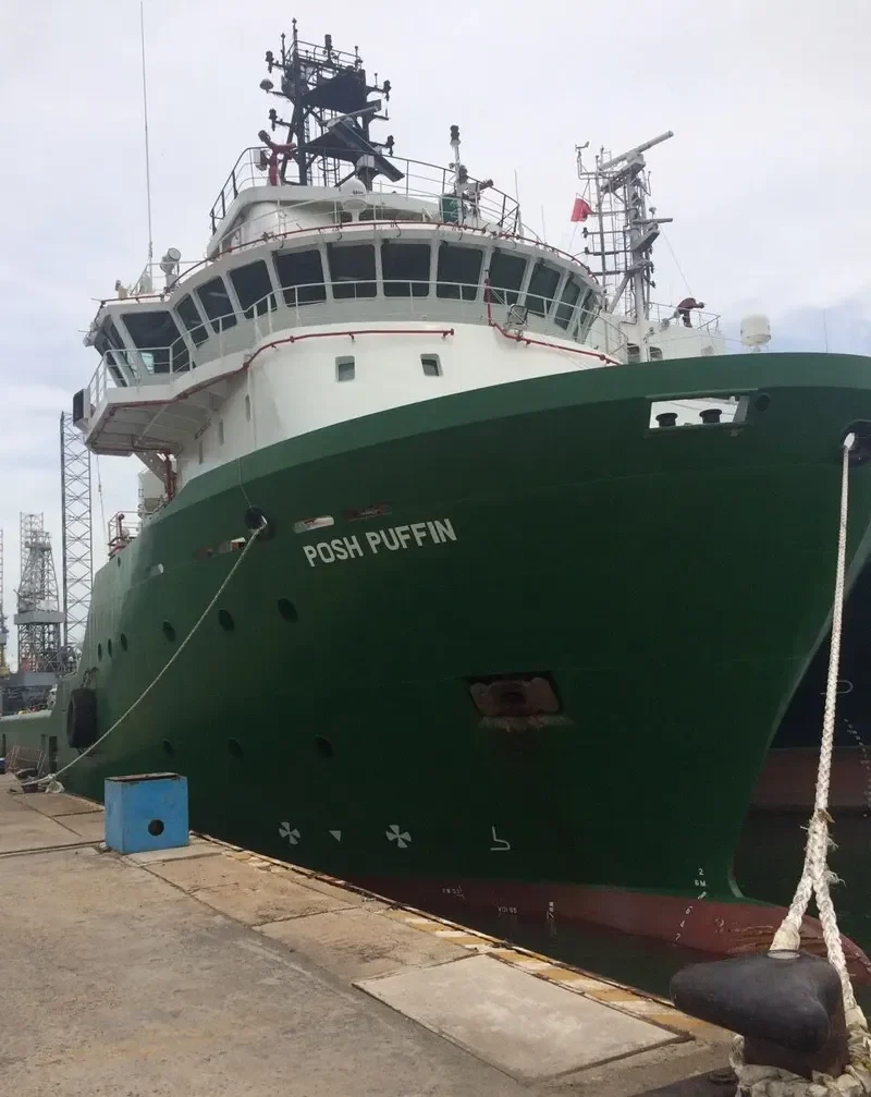 POSH PUFFIN Offshore Vessel IMO 9605592 photo 2