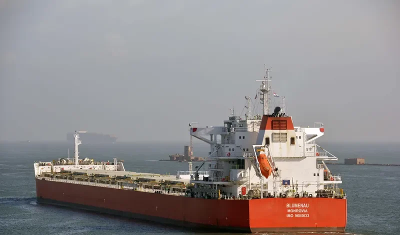 BLUMENAU Bulk Carrier IMO 9605633