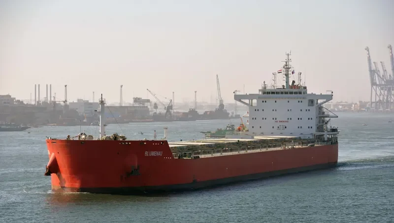 BLUMENAU Bulk Carrier IMO 9605633 photo 2