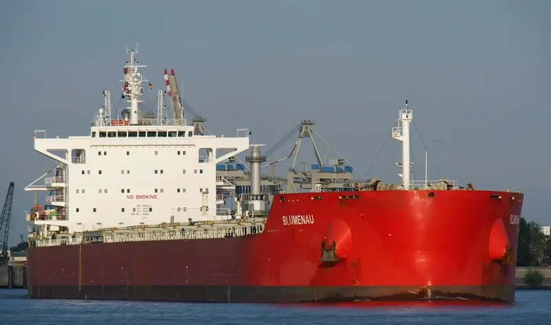 BLUMENAU Bulk Carrier IMO 9605633 photo 3
