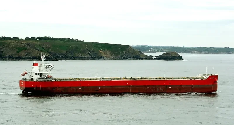 BLUMENAU Bulk Carrier IMO 9605633 photo 6