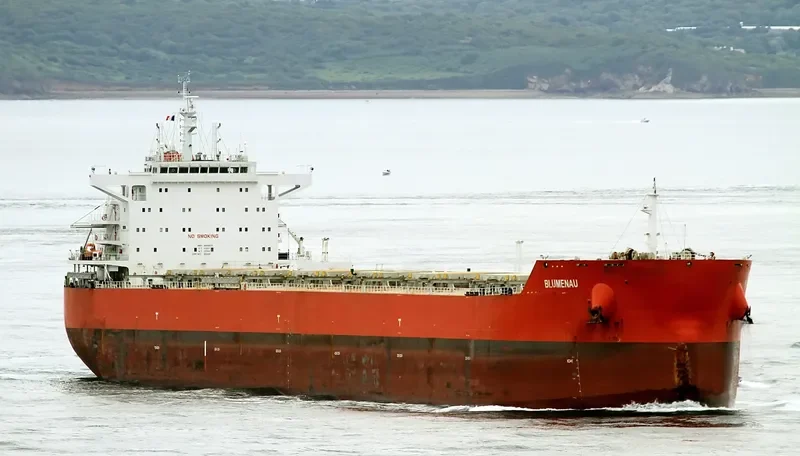 BLUMENAU Bulk Carrier IMO 9605633 photo 7