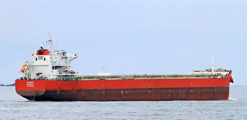 BLUMENAU Bulk Carrier IMO 9605633 photo 8