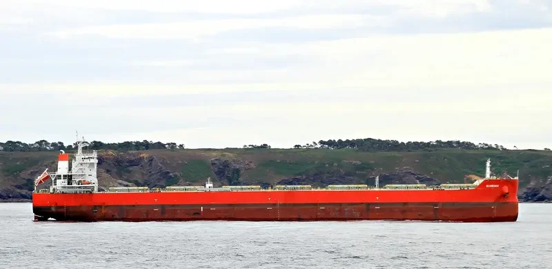 BLUMENAU Bulk Carrier IMO 9605633 photo 9