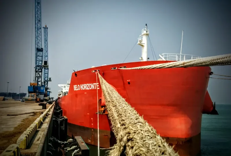 BELO HORIZONTE Bulk Carrier IMO 9605645