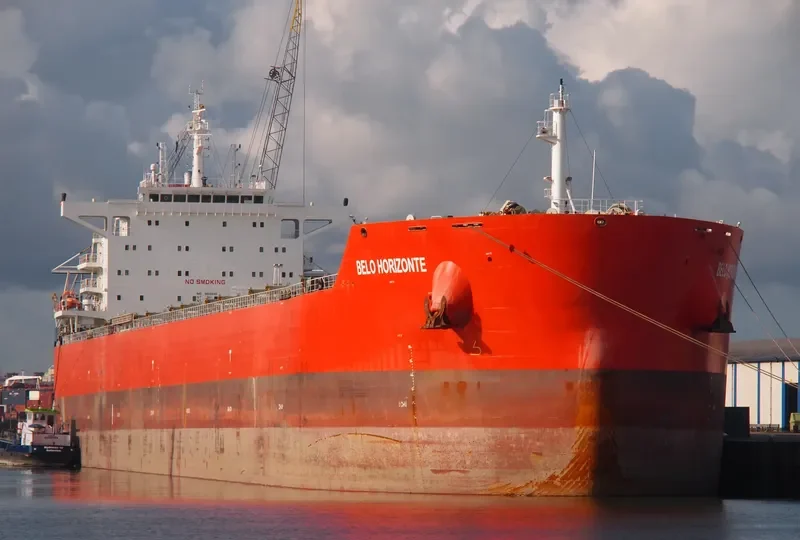 BELO HORIZONTE Bulk Carrier IMO 9605645 photo 3