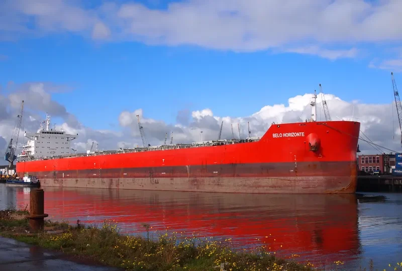 BELO HORIZONTE Bulk Carrier IMO 9605645 photo 4