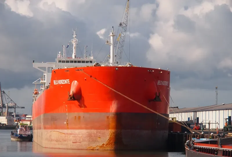 BELO HORIZONTE Bulk Carrier IMO 9605645 photo 5