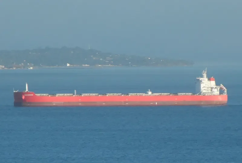 BELO HORIZONTE Bulk Carrier IMO 9605645 photo 7