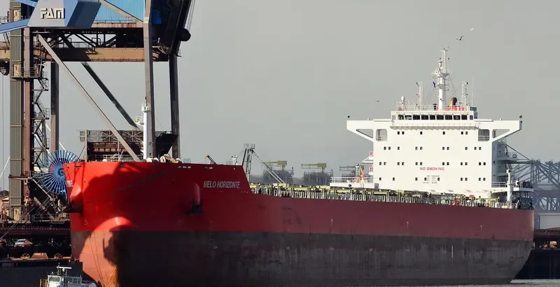 BELO HORIZONTE Bulk Carrier IMO 9605645 photo 8
