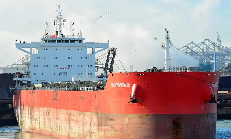 BELO HORIZONTE Bulk Carrier IMO 9605645 photo 9