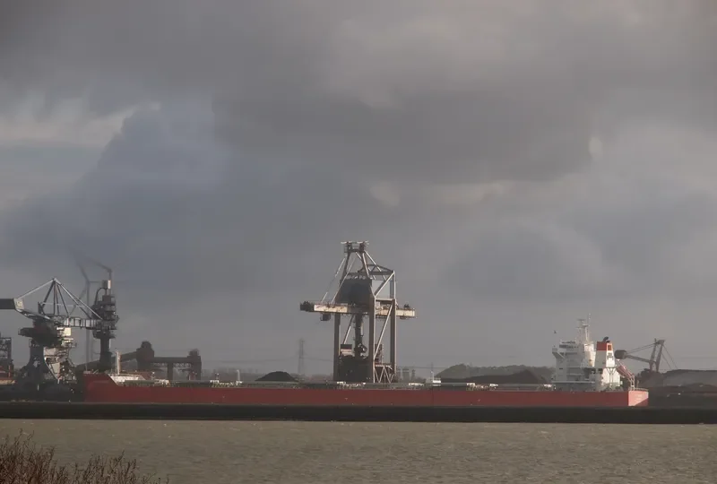 BELO HORIZONTE Bulk Carrier IMO 9605645 photo 10