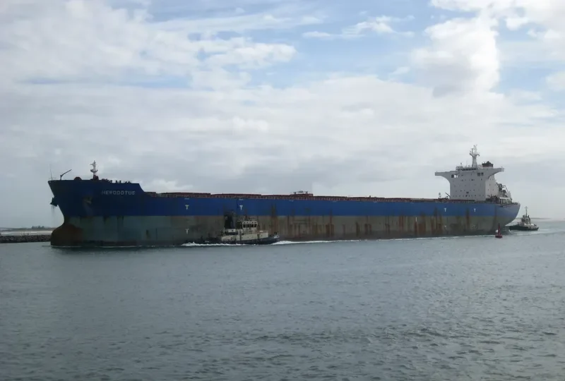 HERODOTUS Bulk Carrier IMO 9605700 photo 2
