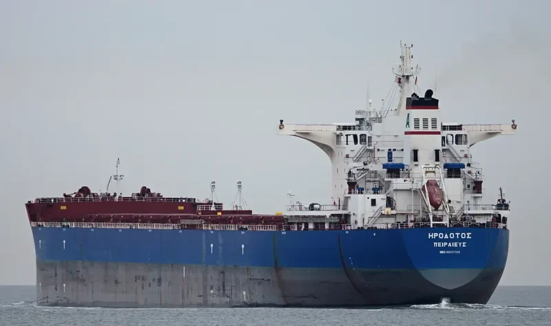 HERODOTUS Bulk Carrier IMO 9605700 photo 3