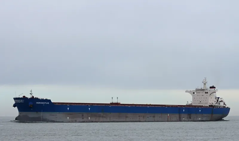 HERODOTUS Bulk Carrier IMO 9605700 photo 5