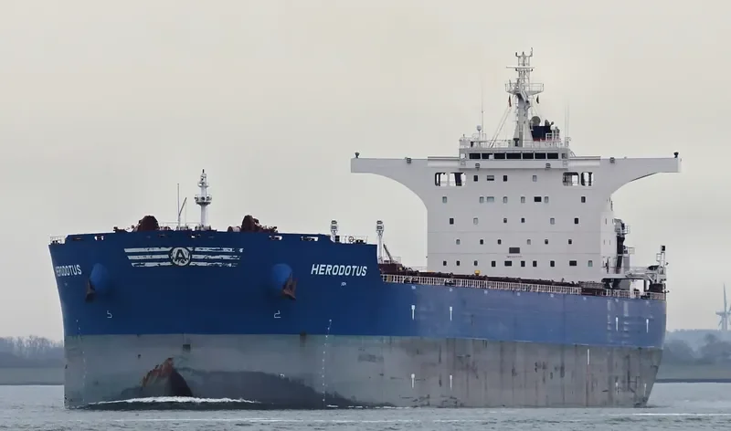 HERODOTUS Bulk Carrier IMO 9605700 photo 7