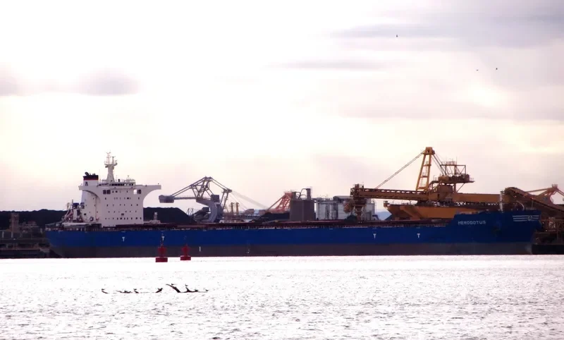 HERODOTUS Bulk Carrier IMO 9605700 photo 8