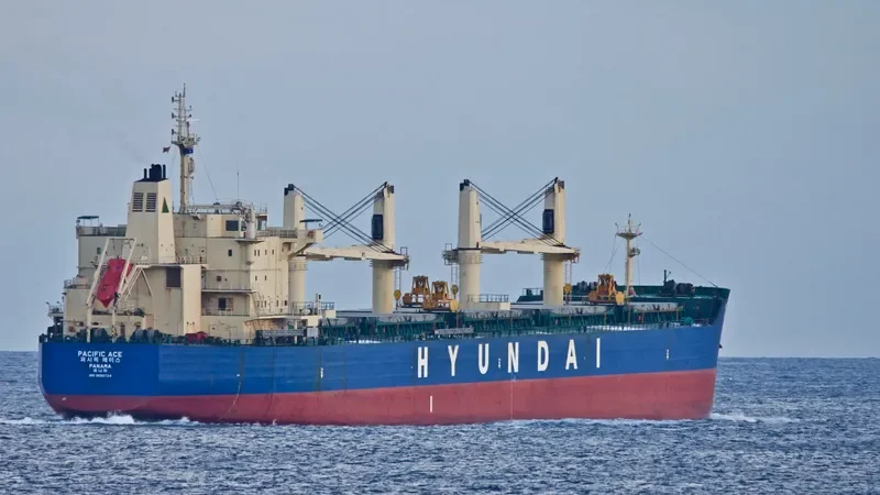 PACIFIC ACE Bulk Carrier IMO 9605724 photo 2