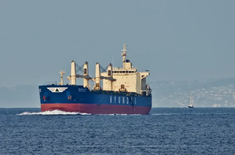 PACIFIC ACE Bulk Carrier IMO 9605724 photo 4