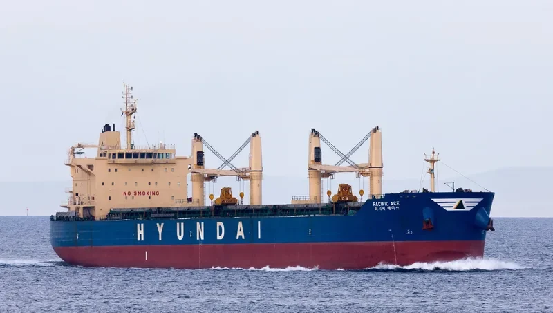 PACIFIC ACE Bulk Carrier IMO 9605724 photo 5