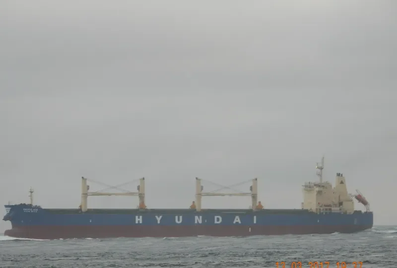 PACIFIC ACE Bulk Carrier IMO 9605724 photo 6