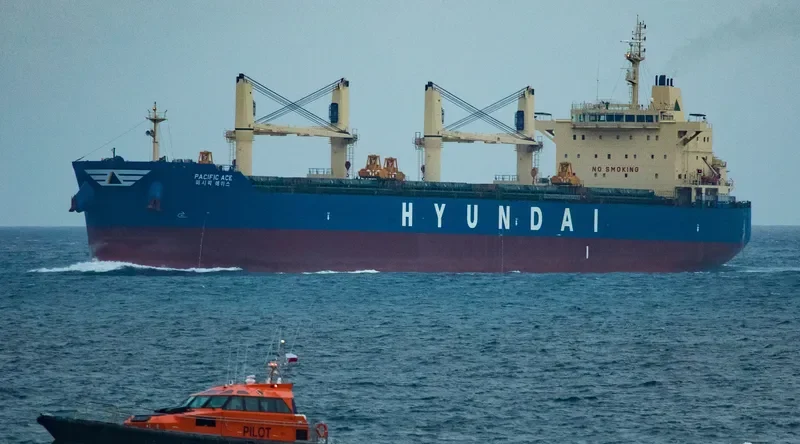 PACIFIC ACE Bulk Carrier IMO 9605724 photo 7