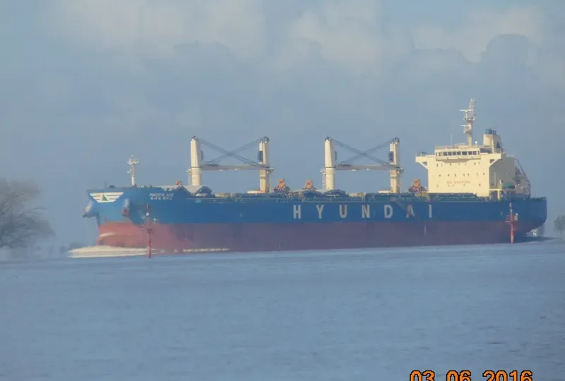 PACIFIC ACE Bulk Carrier IMO 9605724 photo 8