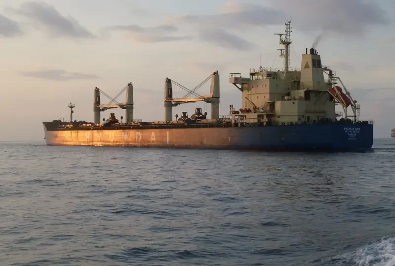 PACIFIC ACE Bulk Carrier IMO 9605724 photo 9