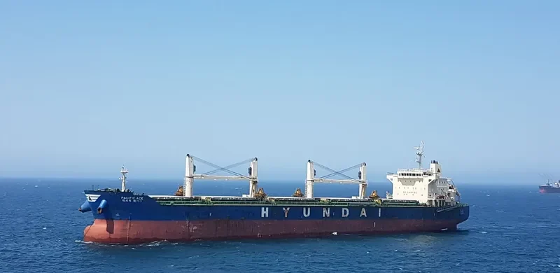 PACIFIC ACE Bulk Carrier IMO 9605724 photo 10