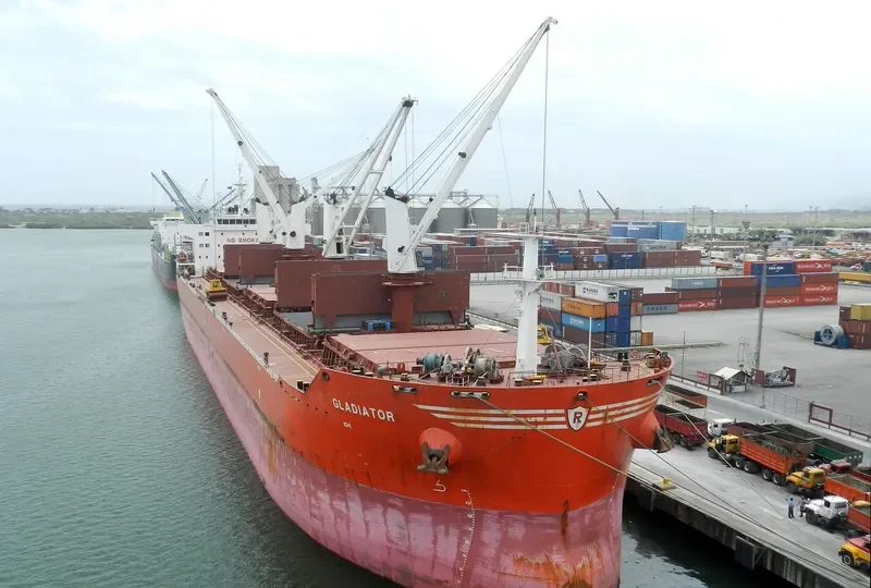 GLADIATOR Bulk Carrier IMO 9605853 photo 4