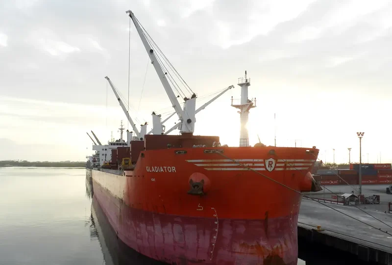 GLADIATOR Bulk Carrier IMO 9605853 photo 5