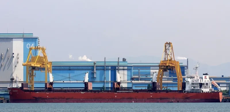 WARRIOR Bulk Carrier IMO 9605865 photo 3