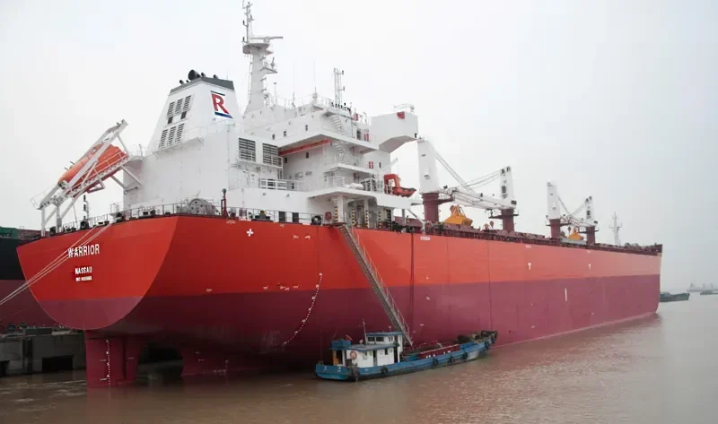 WARRIOR Bulk Carrier IMO 9605865 photo 8
