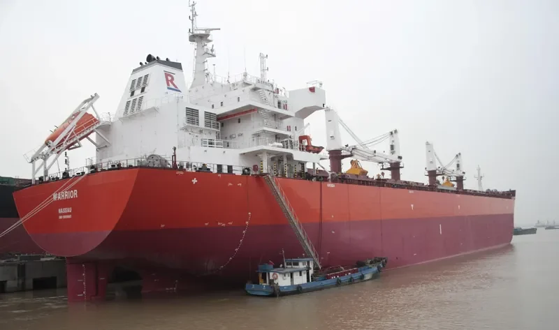 WARRIOR Bulk Carrier IMO 9605865 photo 9