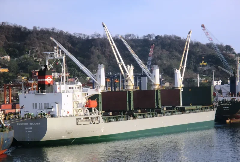 DAYDREAM BELIEVER Bulk Carrier IMO 9605982 photo 2