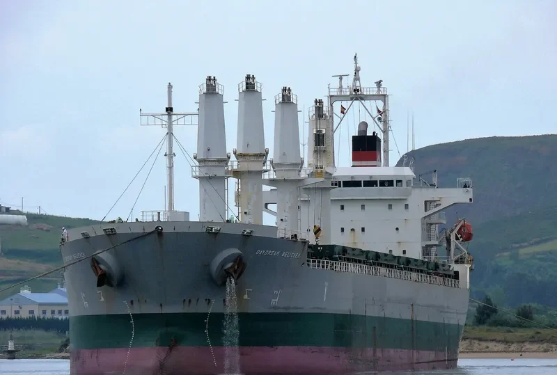 DAYDREAM BELIEVER Bulk Carrier IMO 9605982 photo 4