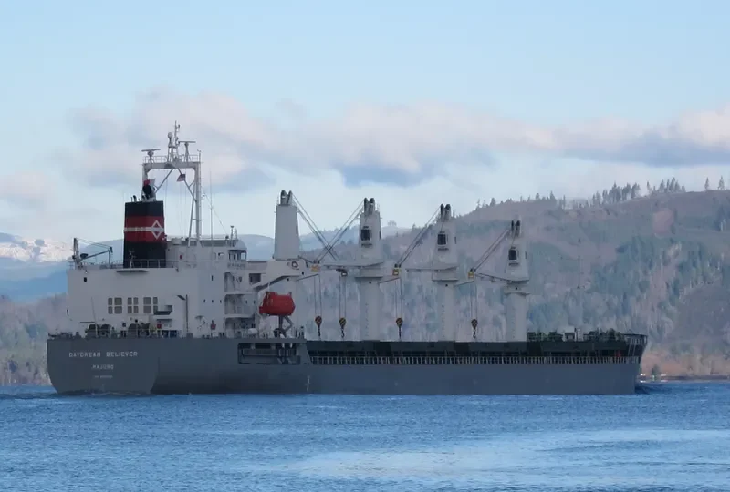 DAYDREAM BELIEVER Bulk Carrier IMO 9605982 photo 9