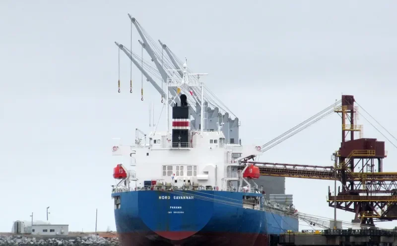 NORD SAVANNAH Bulk Carrier IMO 9605994 photo 2