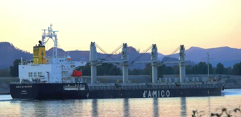 CIELO DI PALERMO Bulk Carrier IMO 9606003